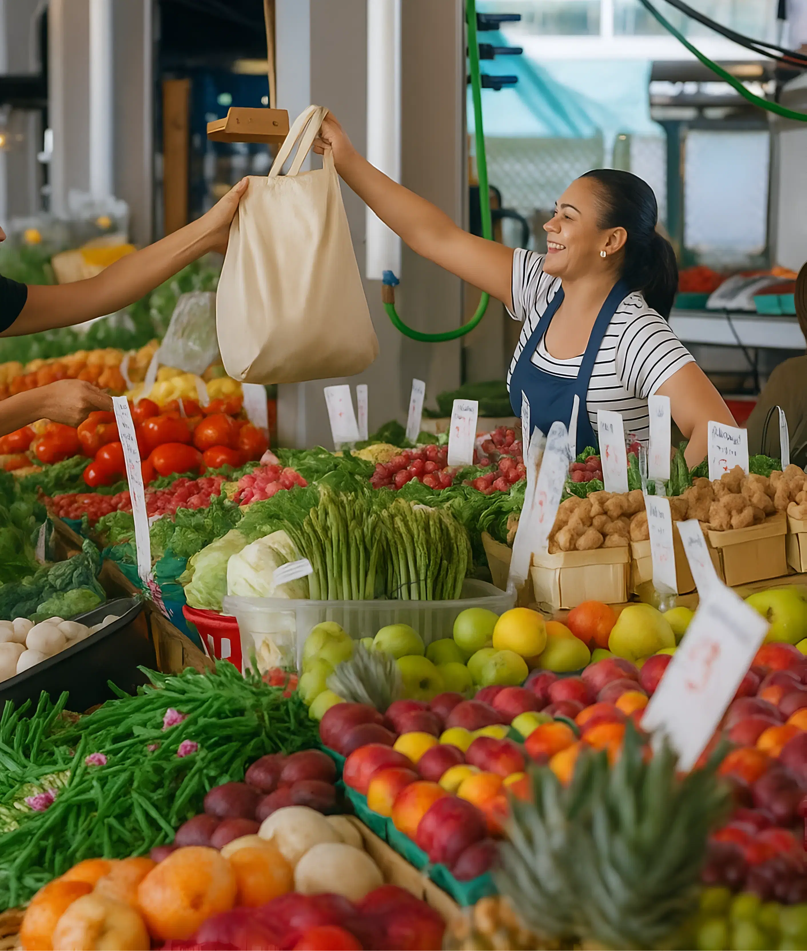 procurement and vendor management