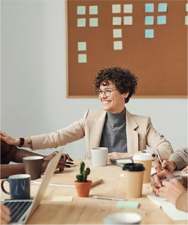 Professional consultation meeting with business intelligence expert