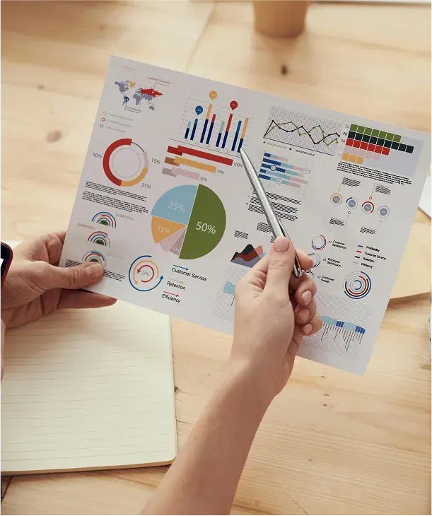 Professional consultation meeting with business intelligence expert