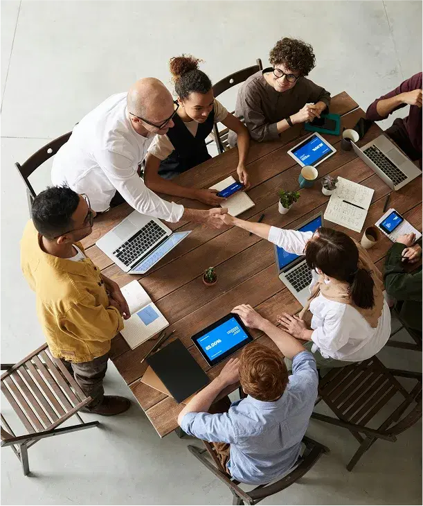 Professional consultation meeting with business intelligence expert