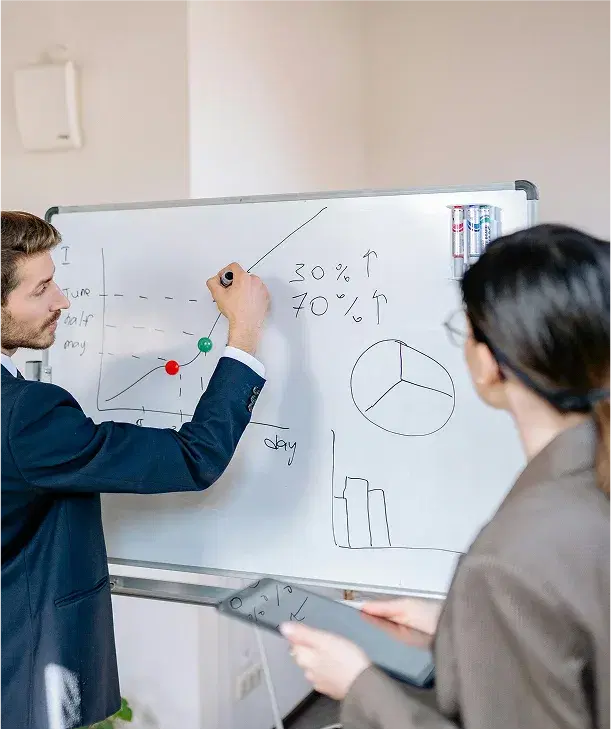 Professional consultation meeting with business intelligence expert