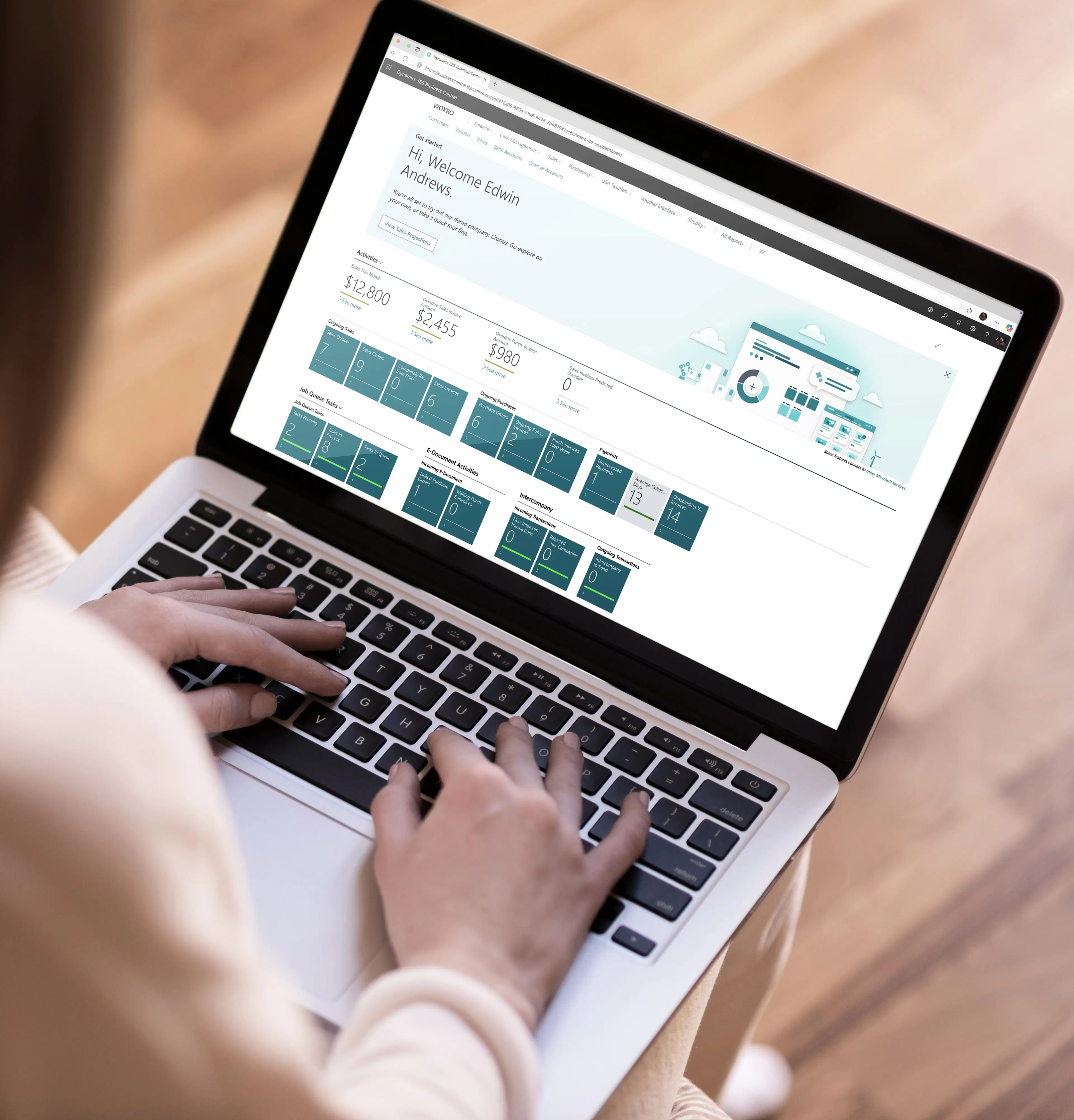 Professional consultation meeting with business intelligence expert